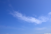 EUROCUP STACK 2011 CERVIA00322